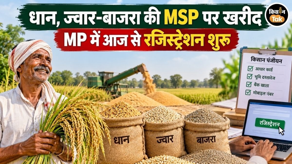 MP Paddy Procuerment Registration Start today