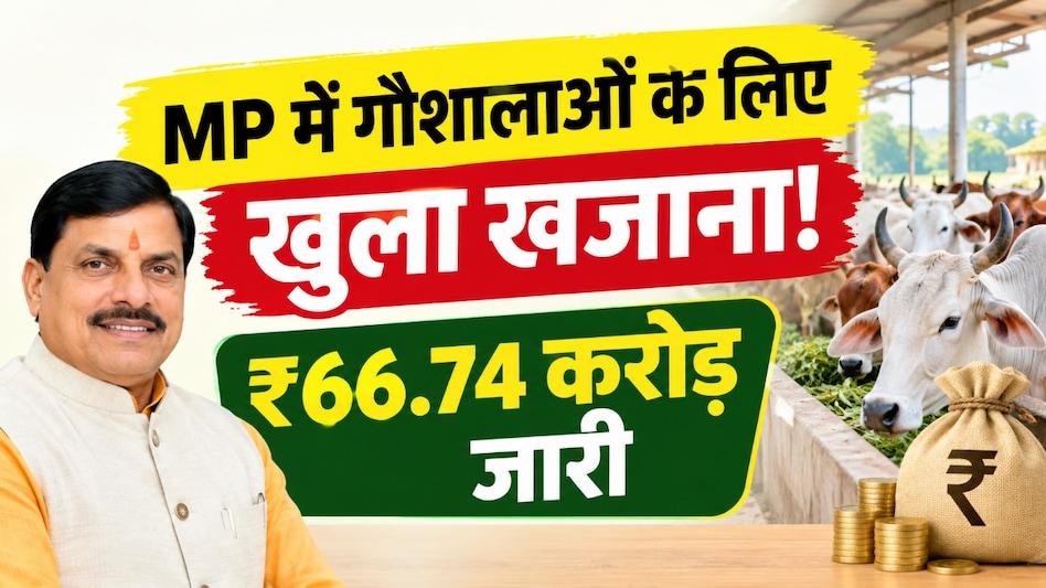 गौशालाओं के खातों में आएंगे ₹66.74 करोड़! 5.40 लाख गोवंश के लिए CM मोहन यादव करेंगे अनुदान जारी गौशालाओं के खातों में आएंगे ₹66.74 करोड़! 5.40 लाख गोवंश के लिए CM मोहन यादव करेंगे अनुदान जारी