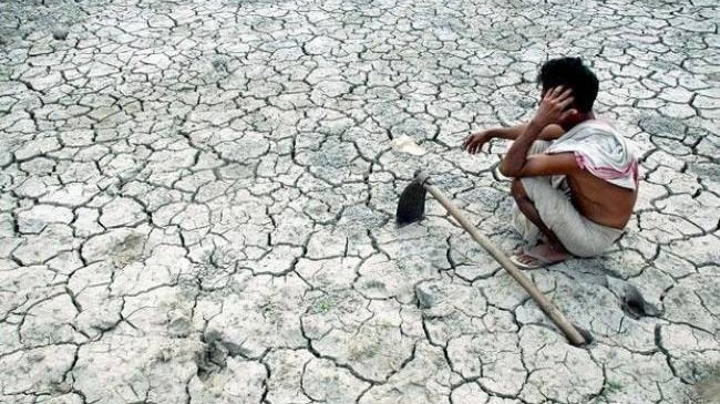 लातूर में बारिश की कमी से बढ़ी किसानों की चिंता (सांकेतिक तस्वीर)