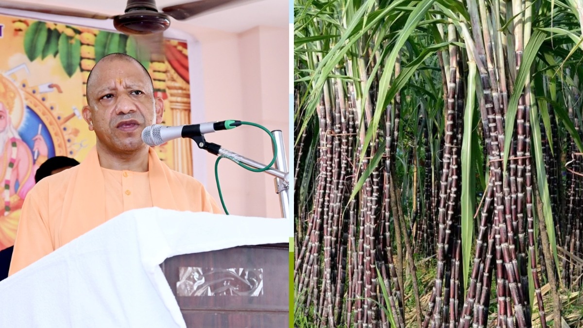 cm yogi मुख्यमंत्री योगी आदित्यनाथ