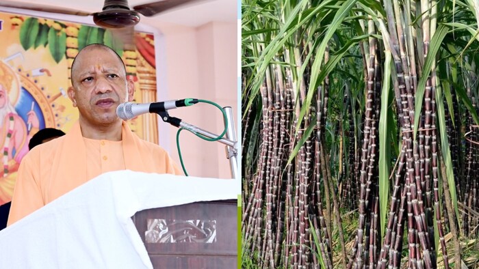 cm yogi मुख्यमंत्री योगी आदित्यनाथ