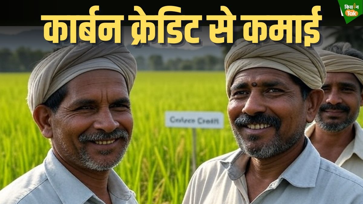 Carbon credit