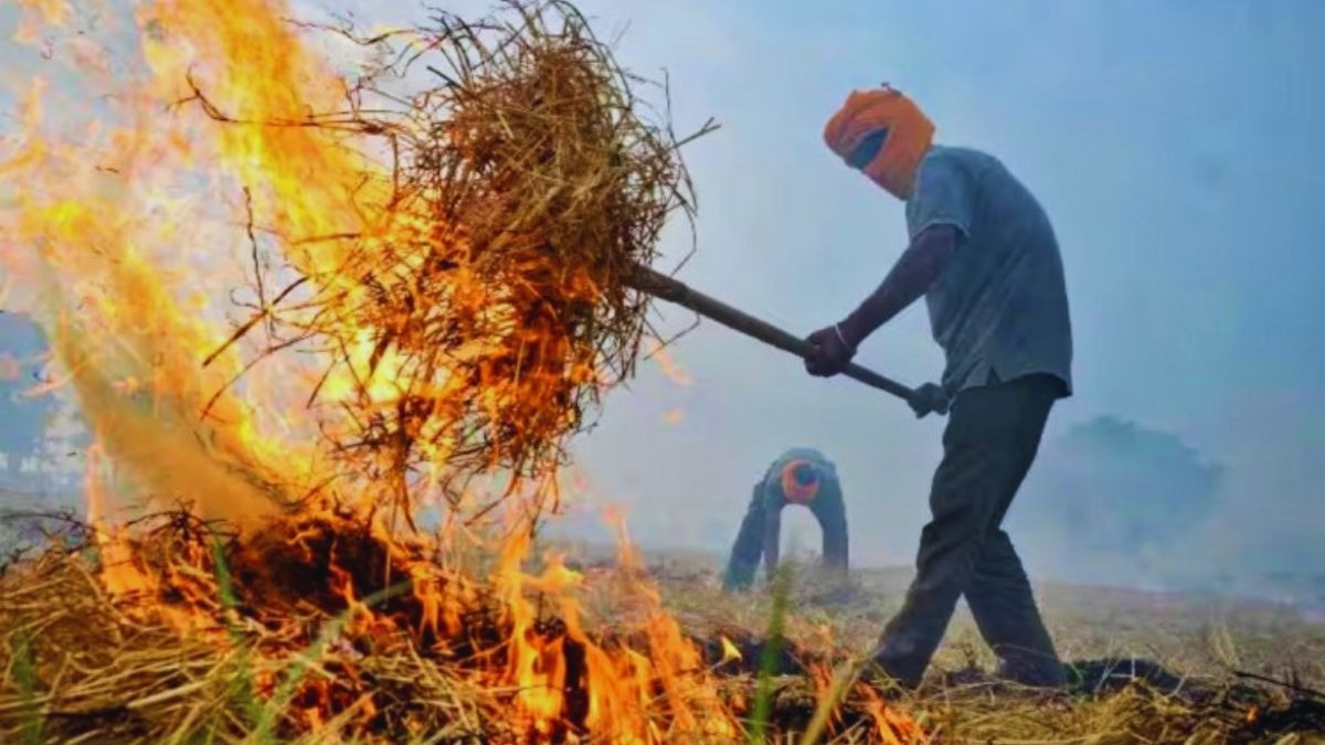 पिछले 10 साल में पराली जलाने में 90 फीसदी आई कमी