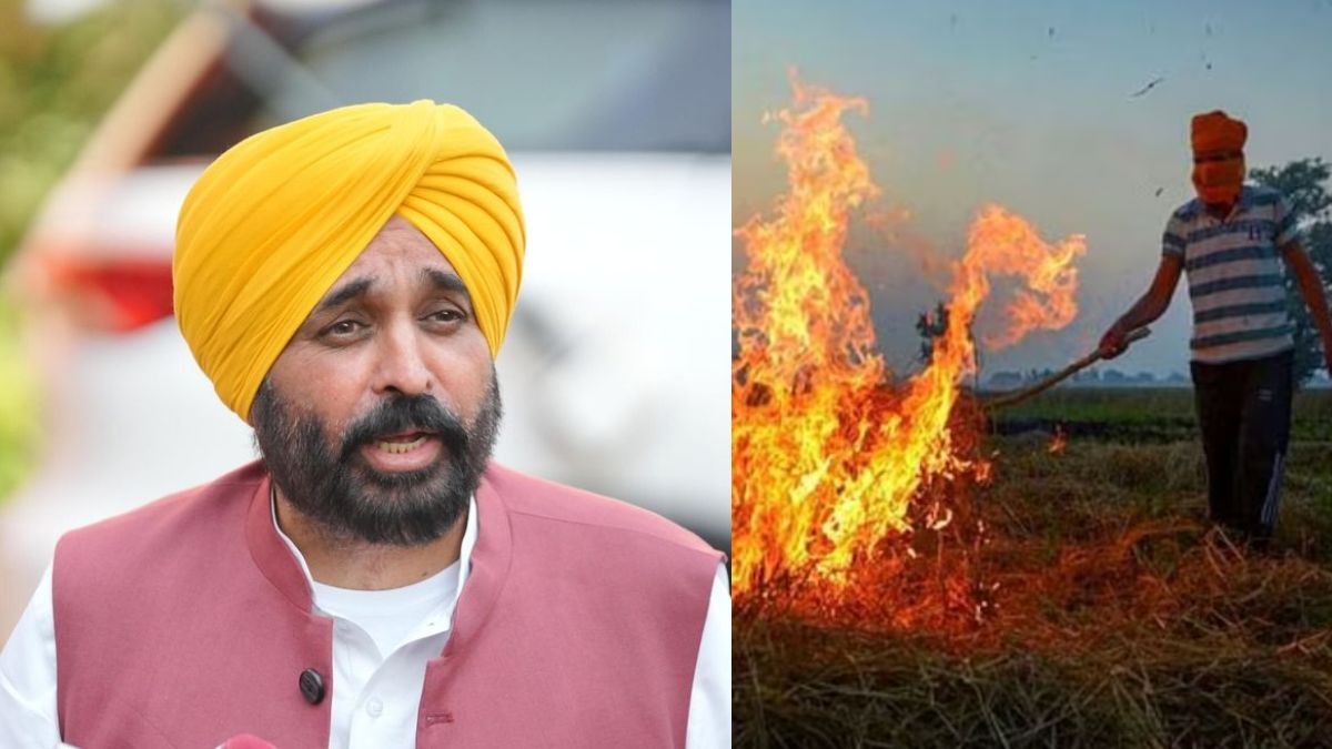मुख्यमंत्री भगवंत मान