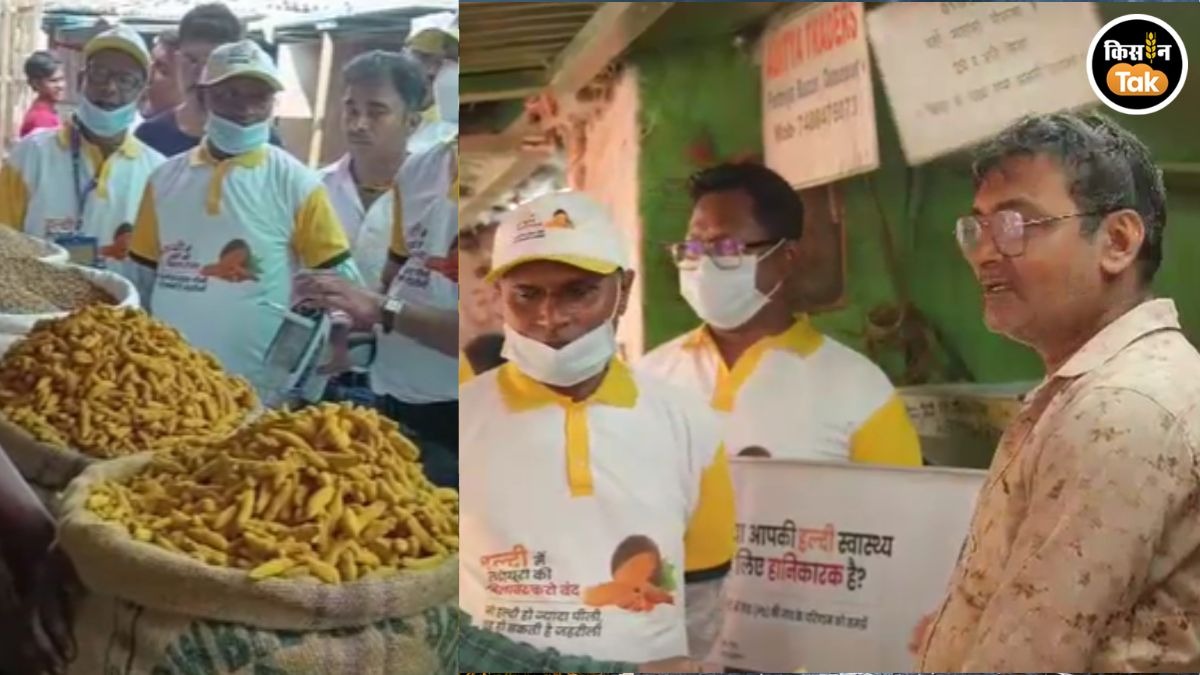 patna haldi lead found in 70 percent samples