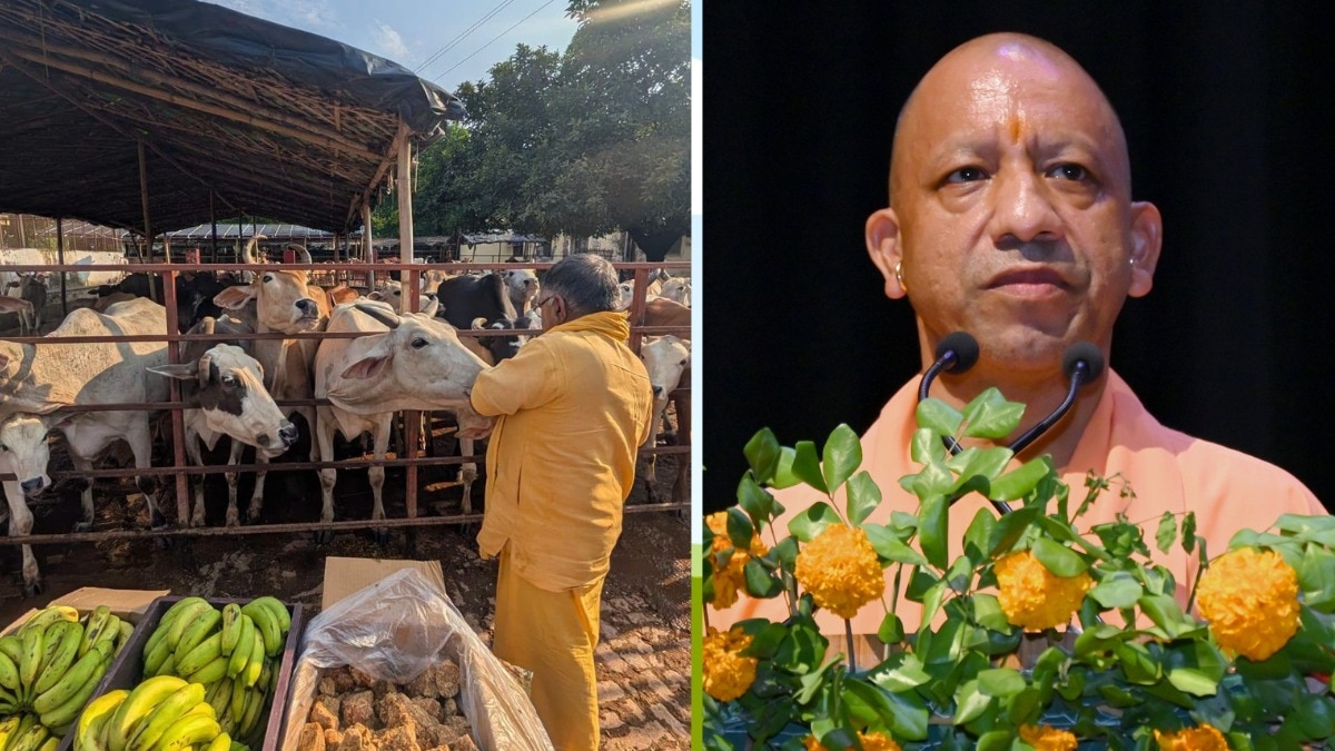 cm yogi योगी सरकार परंपरा और स्थानीय संस्कृति को देगी मंच