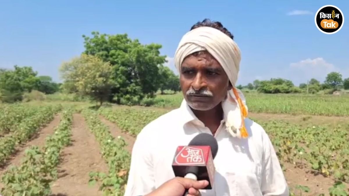 Ahilyanagar Crop Loss 