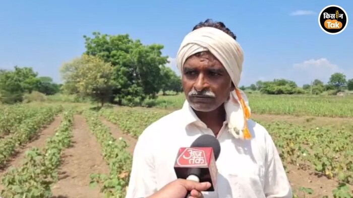 Ahilyanagar Crop Loss