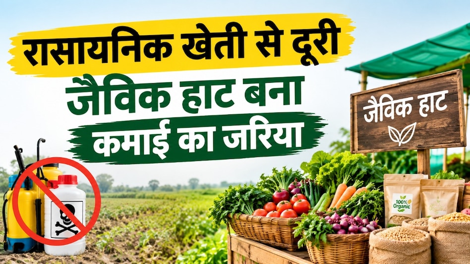 30 हफ्तों में 90 हजार की सब्जियां बेचीं, प्राकृतिक खेती से सोविंद उइके ने बदली कमाई की राह 30 हफ्तों में 90 हजार की सब्जियां बेचीं, प्राकृतिक खेती से सोविंद उइके ने बदली कमाई की राह