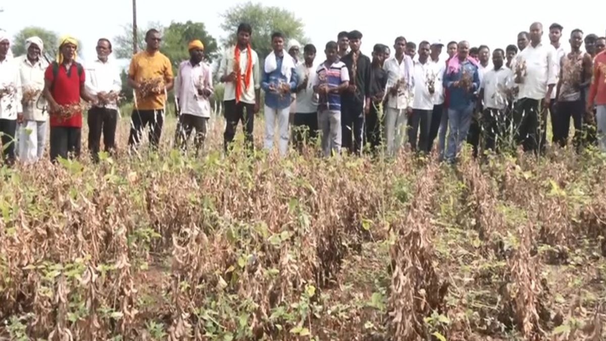 Yawatmal crop loss