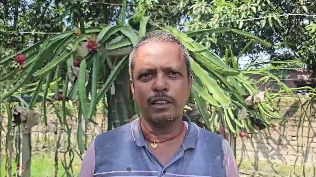 बेतिया के किसान ने एक बीघा में किया कमाल