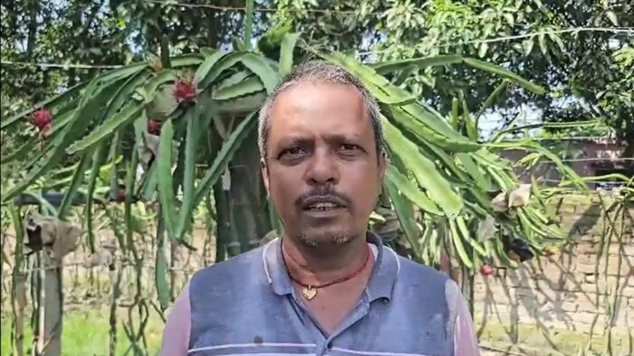 बेतिया के किसान ने एक बीघा में किया कमाल