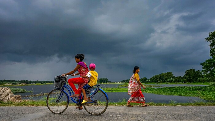 Monsoon 2026 - PTI Image