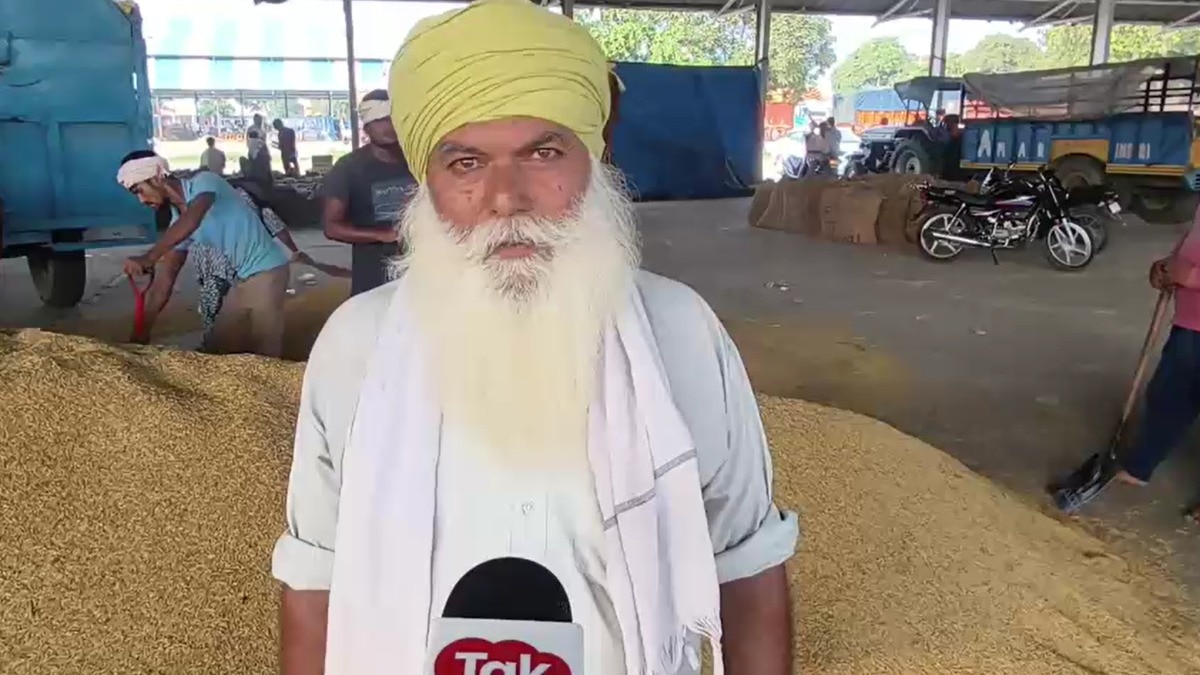 Haryana Paddy Procurement