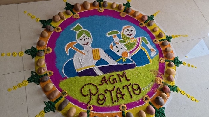 आलू की प्रदर्शनी