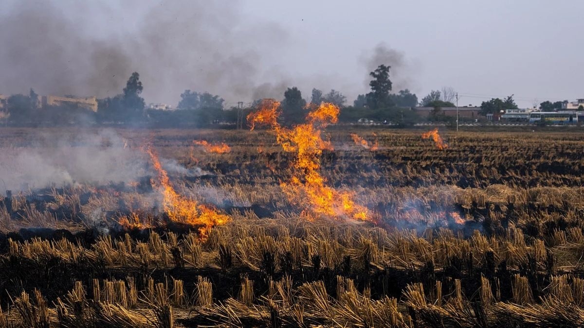 ‘पराली सुरक्षा बल’
