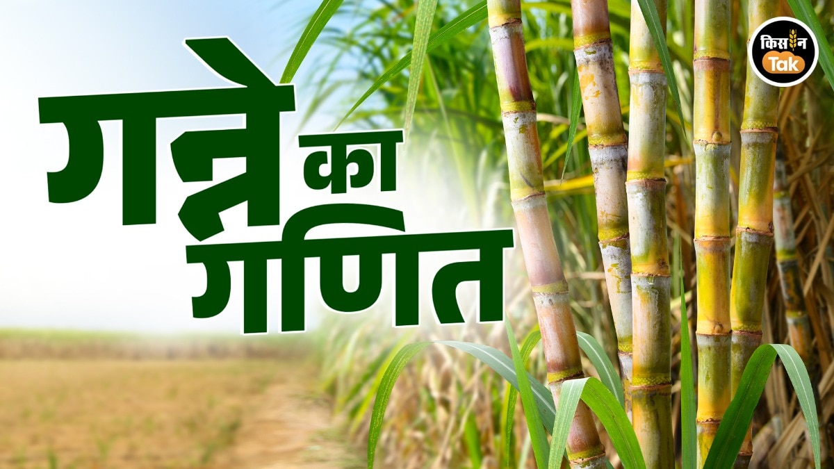 गन्ने की कीमत तय करने का फार्मूला बदलने की मांग. 