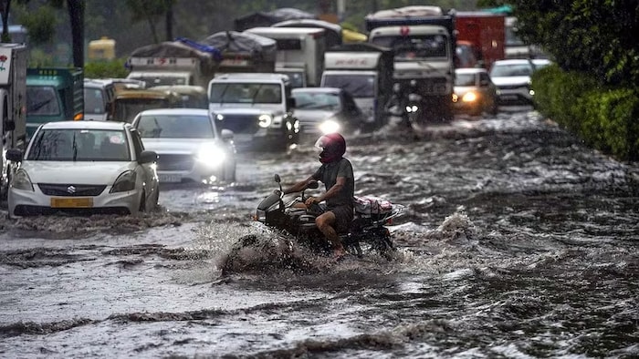 imd alert for heavy rain