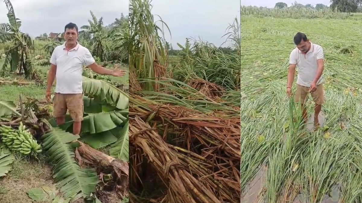 Ayodhya farmer crop loss