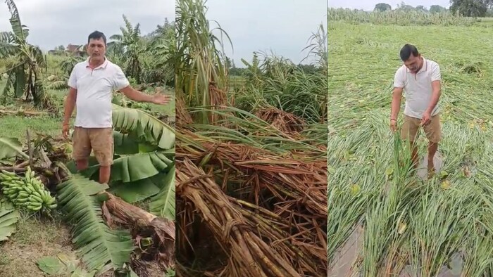 Ayodhya farmer crop loss