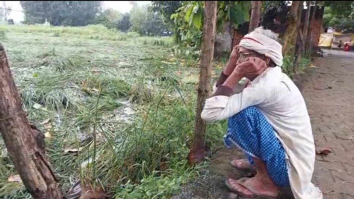 पीलीभीत में लगातार से किसान परेशान