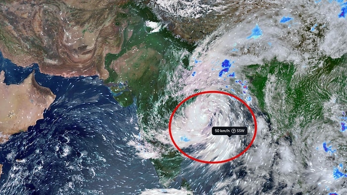 No cyclone for now: Heavy rain to arrive as deep depression moves inland?