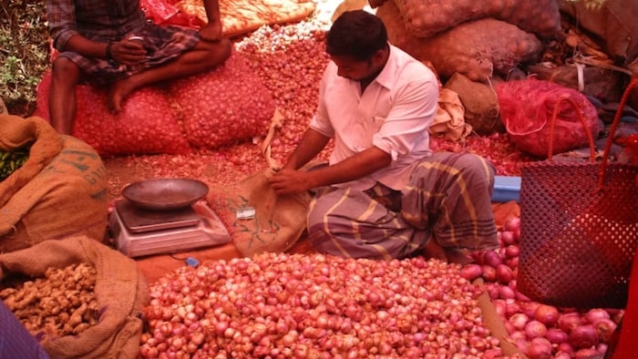 Onion Price