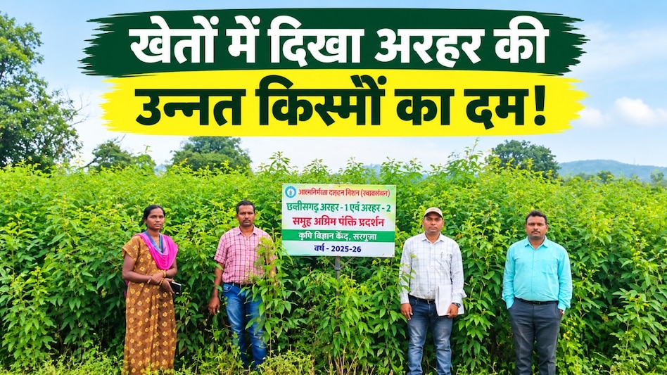 55 हेक्टेयर में लहलहा रही अरहर की उन्नत किस्में, फूल आने की अवस्था में पहुंची फसल; वैज्ञानिकों ने बताया ऐसे बढ़ेगा उत्पादन 55 हेक्टेयर में लहलहा रही अरहर की उन्नत किस्में, फूल आने की अवस्था में पहुंची फसल; वैज्ञानिकों ने बताया ऐसे बढ़ेगा उत्पादन