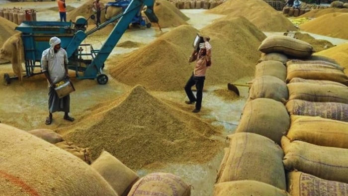 paddy procurement registration madhya pradesh