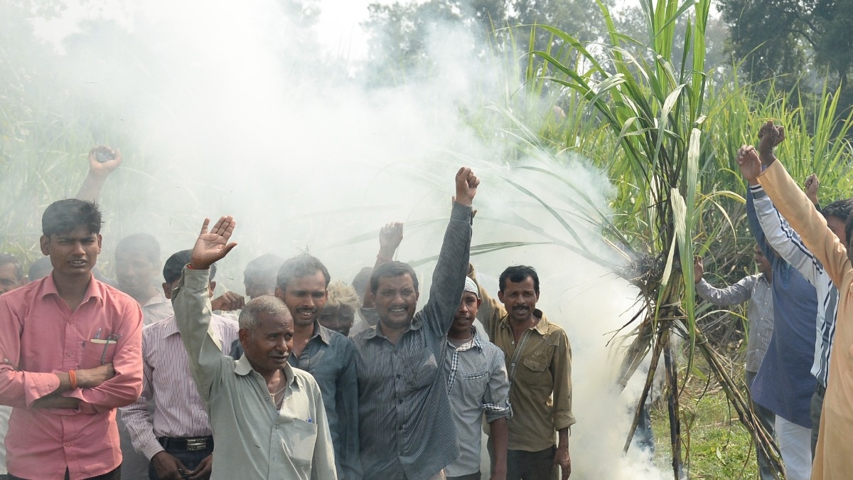 sugarcane farmers protest