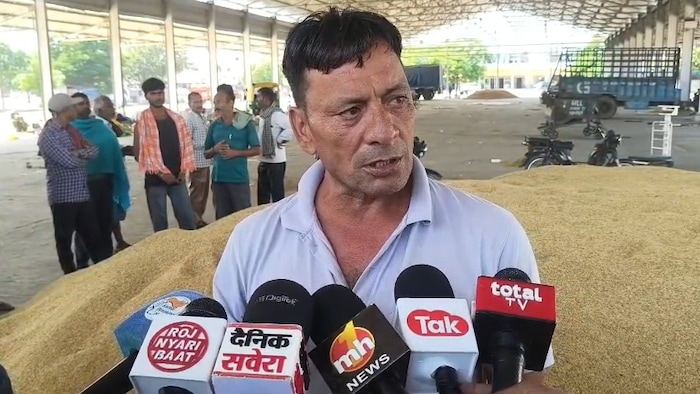 Haryana Paddy Procurement