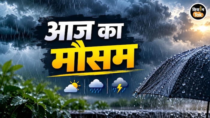 aaj ka mausam news
