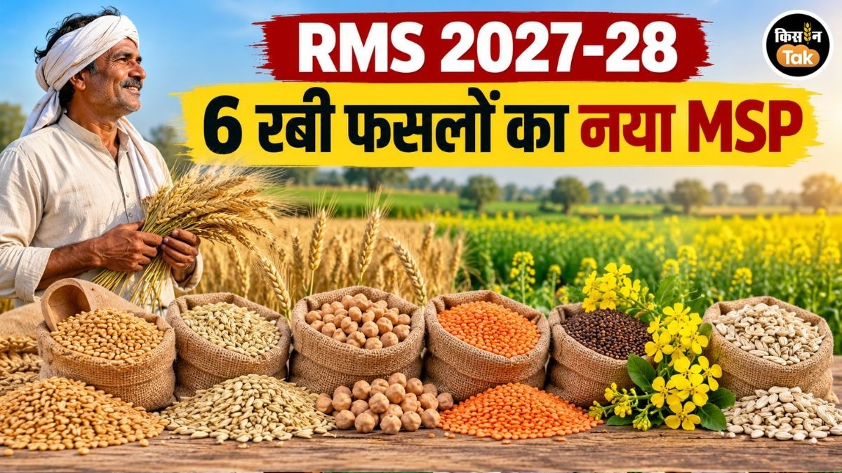 सरकार ने रबी फसलों का नया MSP घोषित किया, गेहूं-चने में सबसे कम बढ़ोतरी, जानें अन्‍य फसलों का हाल