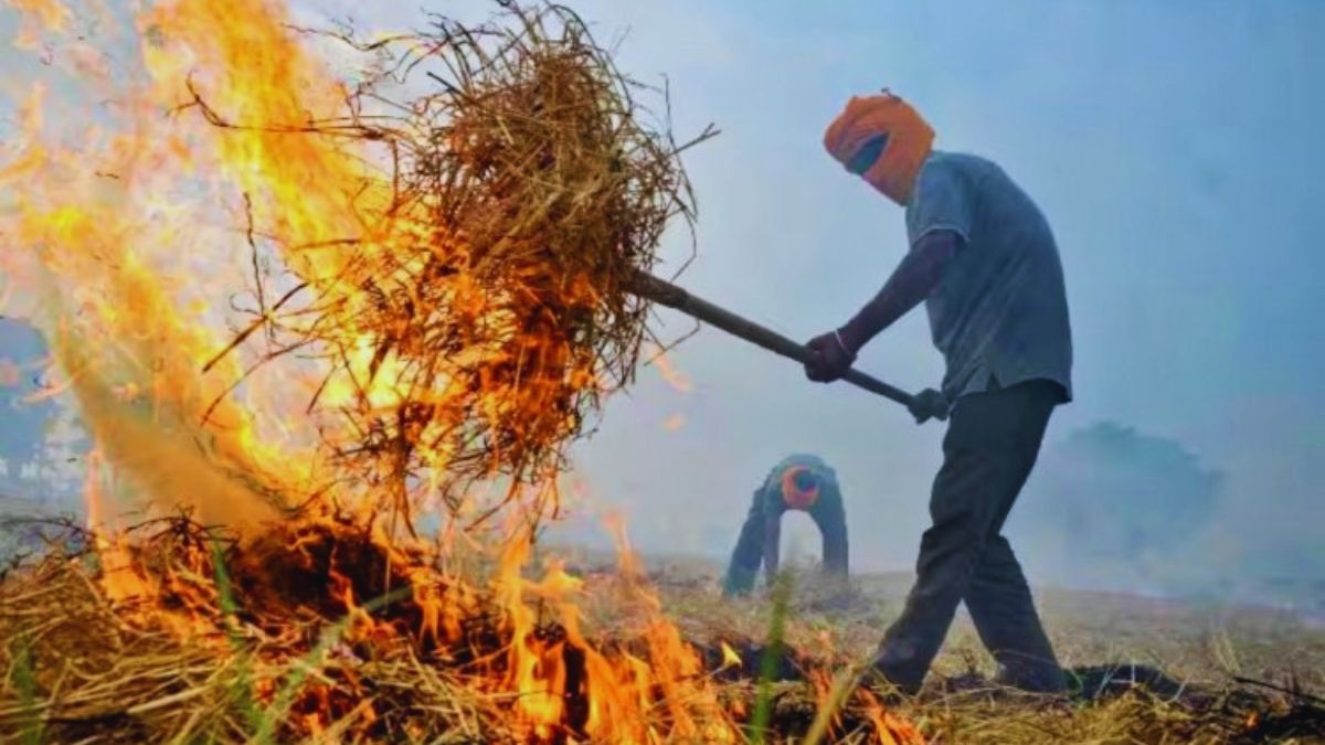 ड्रोन से होगी पुआल जलाने की निगरानी