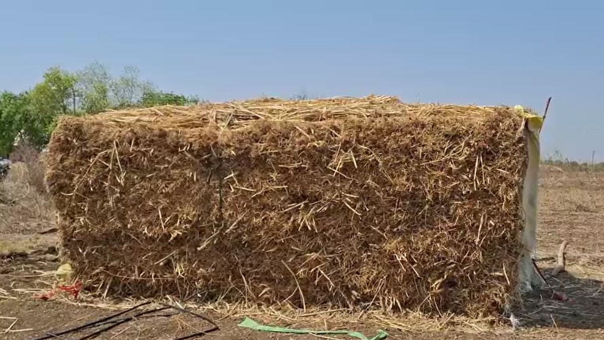 सूखे से जालना में बढ़ी चिंता