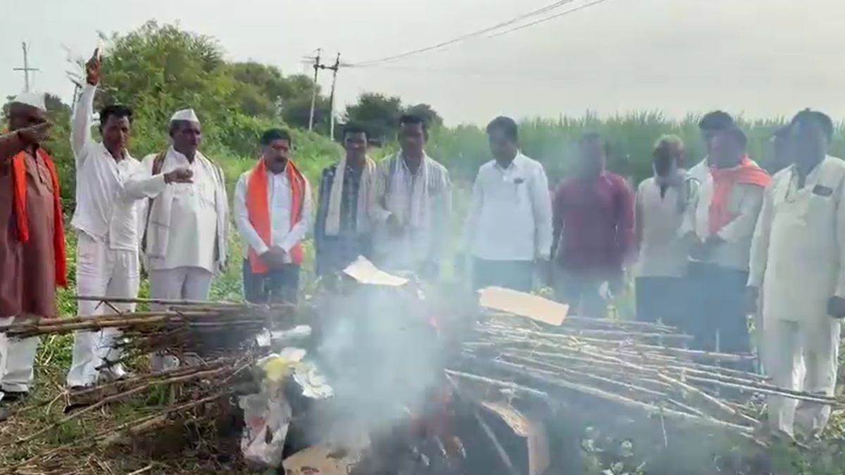 beed soybean crop burning