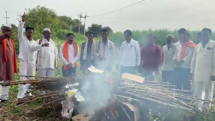 beed soybean crop burning