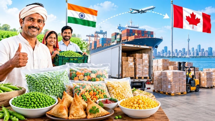 फ्रोजन फूड का एक्सपोर्ट (AI- तस्वीर)