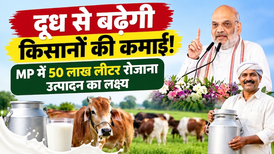 MP में शुरू होगी नई ‘श्वेत क्रांति’! गौपालकों को ₹100 करोड़ की सौगात, 50 लाख लीटर दूध का लक्ष्य MP में शुरू होगी नई ‘श्वेत क्रांति’! गौपालकों को ₹100 करोड़ की सौगात, 50 लाख लीटर दूध का लक्ष्य