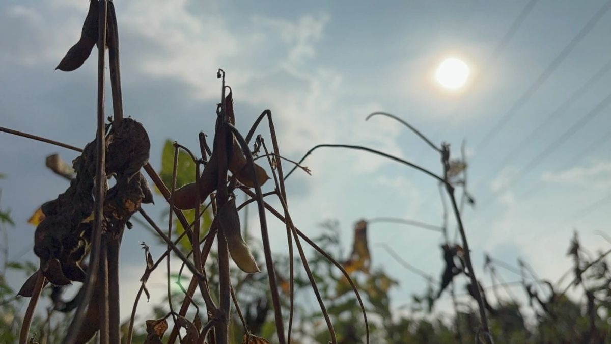 Maharashtra Drought