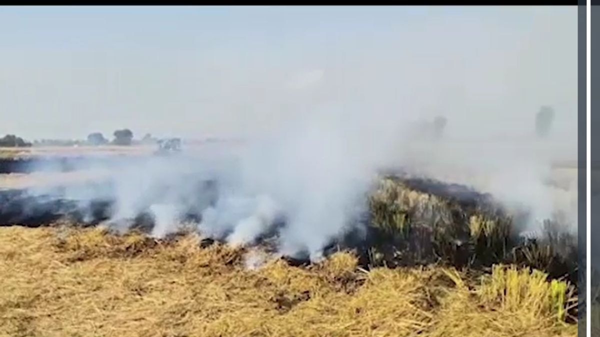 पराली जलाने वालों पर कार्रवाई शुरू