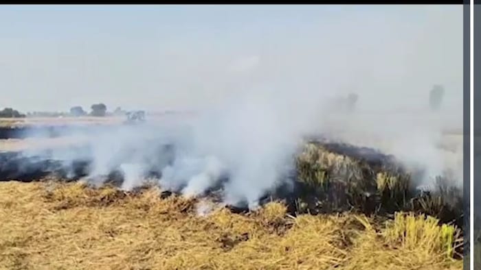 पराली जलाने वालों पर कार्रवाई शुरू