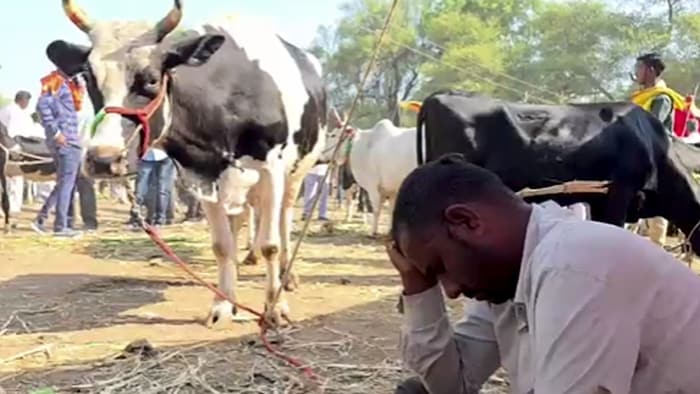 Marathwada Drought