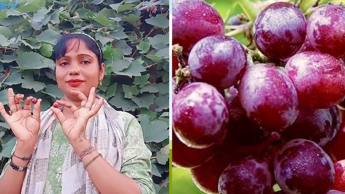 गाजियाबाद की महिला किसान मंजू कश्यप
