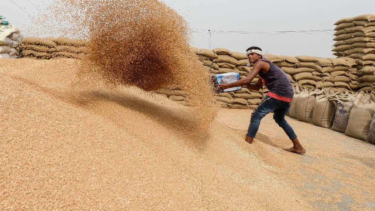 India Grain Buffer Stock