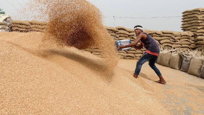 India Grain Buffer Stock