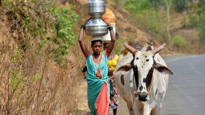 Nanded Drought
