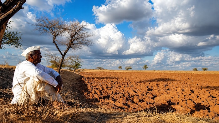 In September, Maharashtra declared 265 of its 358 talukas, nearly 74% of the state's total, drought-affected. (File)