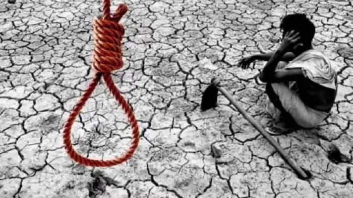सूखे से परेशान किसान ने दी जान
