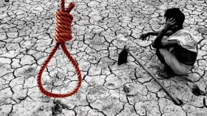 farmer suicide
